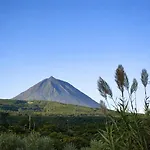 Pico Island 38 - Private Atlantic Retreat * Santo Antonio (Pico Island)