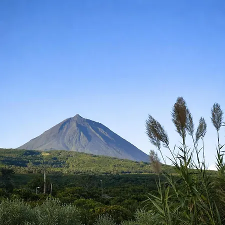 Pico Island 38 - Private Atlantic Retreat * Santo Antonio (Pico Island)